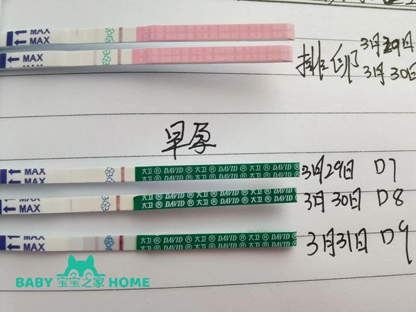驗孕試紙