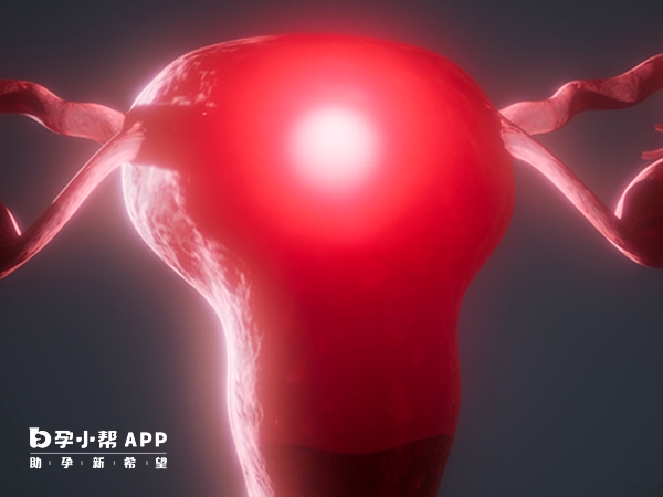 無子宮不能做試管生孩子