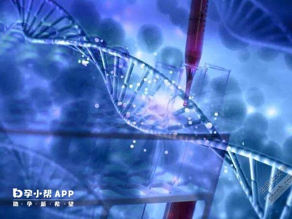 試管嬰兒技術不同費用不同