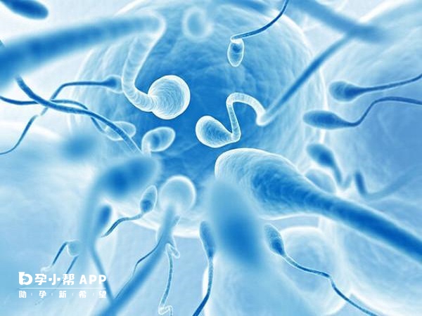 男人沒有精子可以試管生育