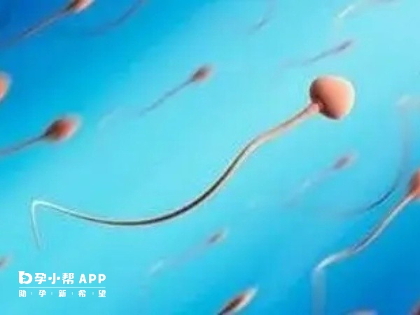 男方少精做二代試管的成功率較高
