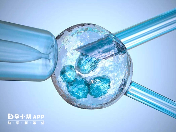 取卵後需要2-3個月才能自然再長卵泡