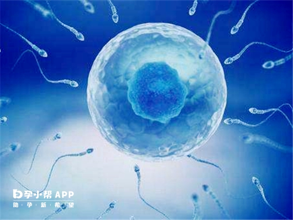 精子成活率百分之一懷孕機率降低