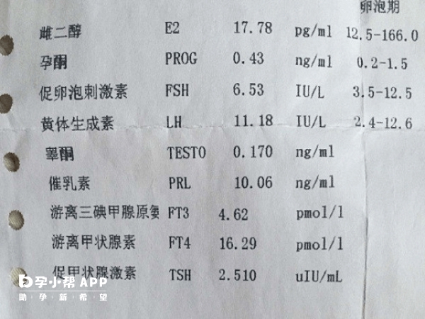 移植凍胚要看雌二醇數值