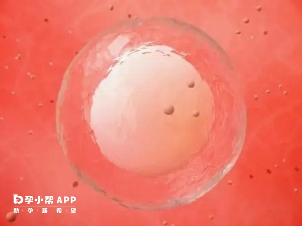 試管卵泡大小18mm以上可以取卵