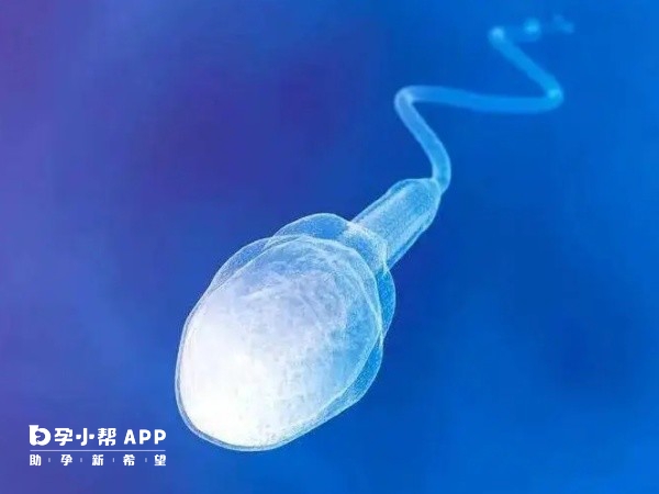 穿刺取精大概費用在1000元左右