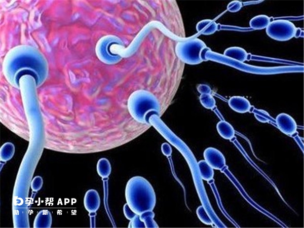 河南夫妻做供精試管可以要二胎