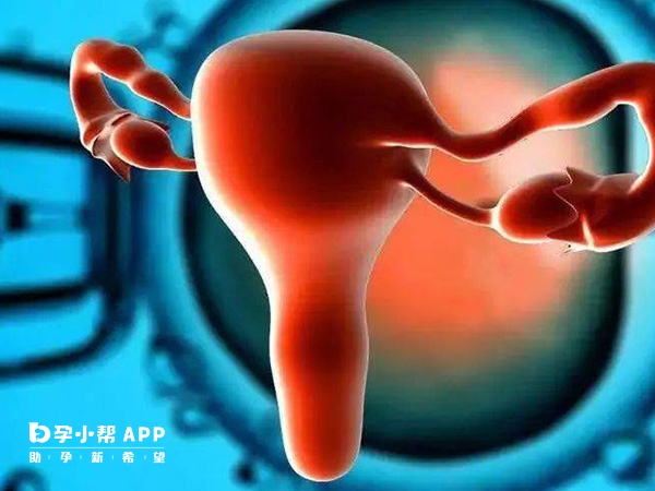 內膜容受性會影響試管成功率