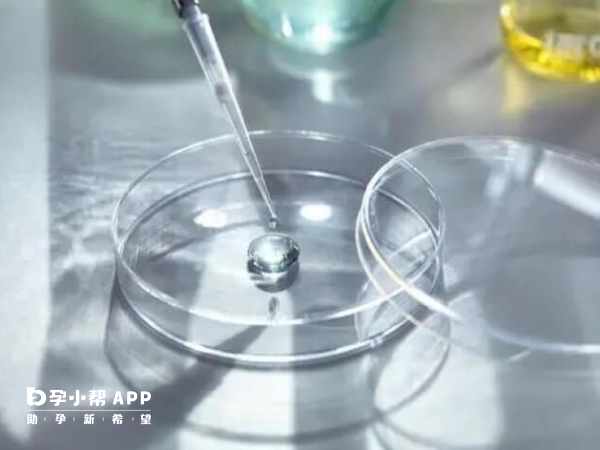洛陽人工授精要5000-10000元左右