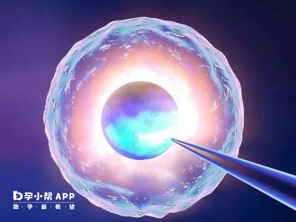 凍胚移植靈活成功率高