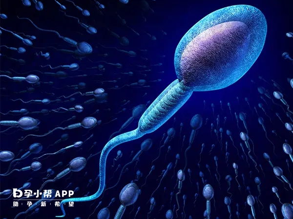 睪丸穿刺前可以吃早餐