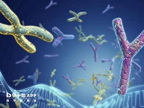 7個囊胚大概多少個男孩是未知的