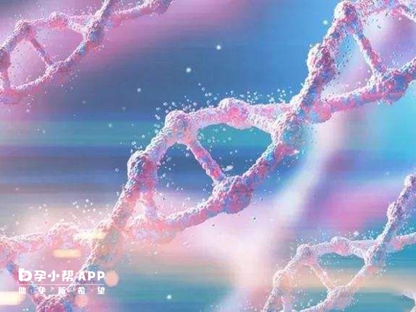 女性血友病攜帶者可以做三代試管嬰兒