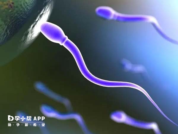 死精做二代試管成功率為50%至60%