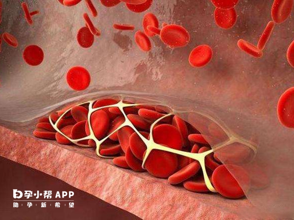 同種地貧可以做三代試管嬰兒