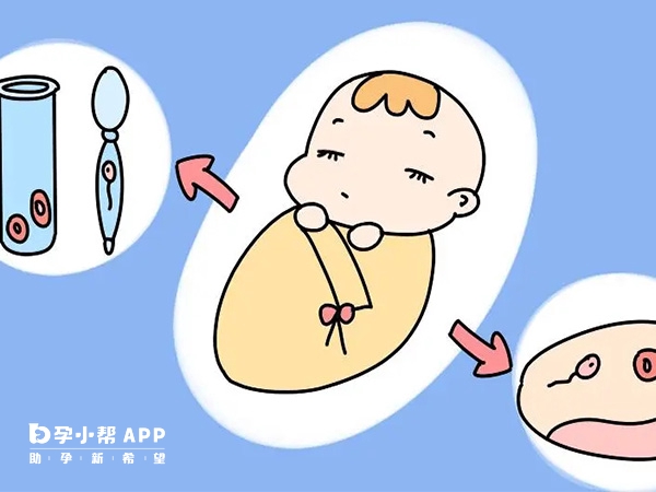 影響試管嬰兒壽命的因素
