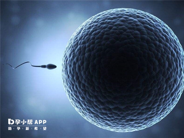 精子碎片率高可以做二代試管