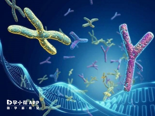 帕陶氏綜合症可以做三代試管嬰兒