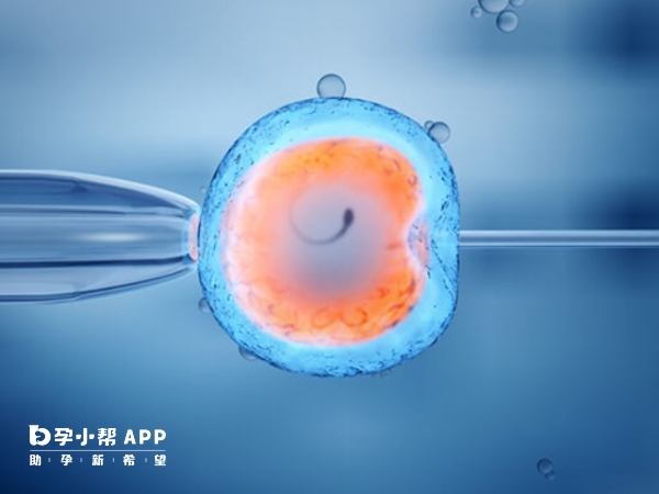 取精和取卵是在同天進行