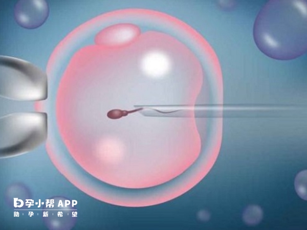 胎停两次不能做三代试管