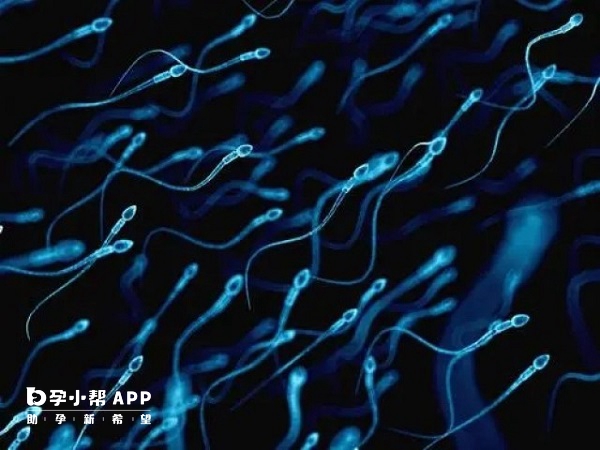 二代試管對男性精子活力沒有要求