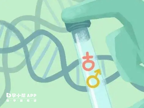 精子質量不能決定生男生女