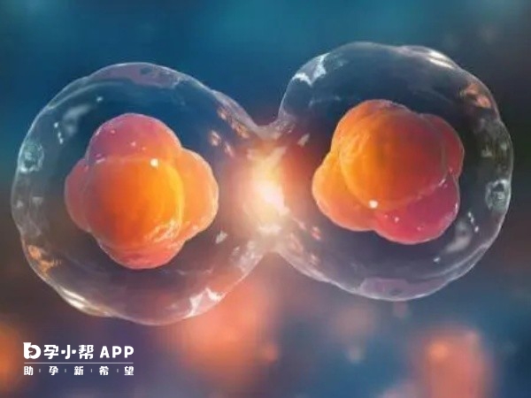 想生龍鳳胎不可以在北醫三院做三代試管