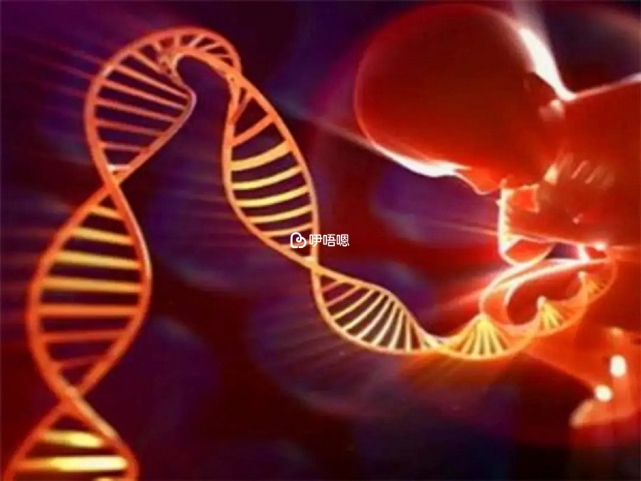 9號染色體倒位會導致懷孕失敗