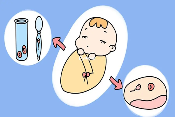 供卵試管嬰兒,最後的生育機會?