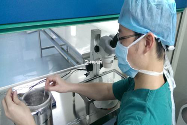 培養皿中精子與卵子自由結合