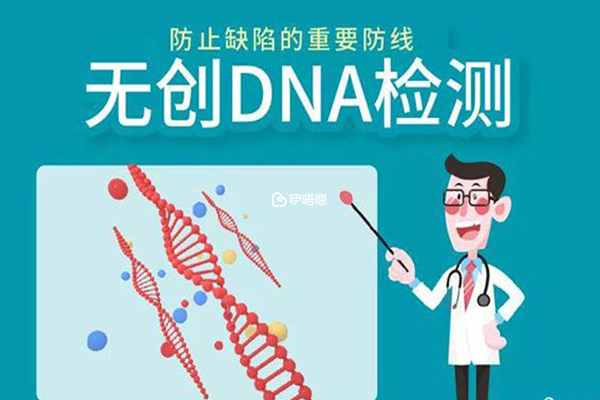 無創DNA是產前必做排畸專案