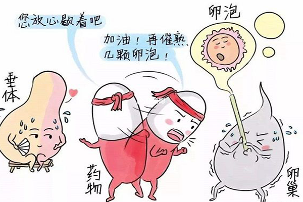 第一代試管嬰兒適應人群