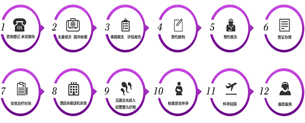 第二代試管嬰兒