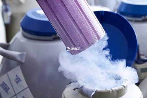 培養皿中精子與卵子自由結合