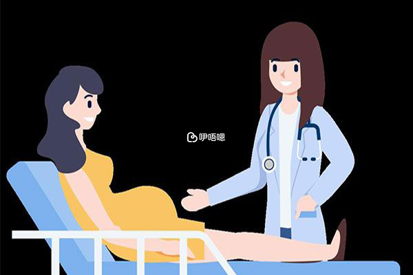 生育險可以報銷nt檢查費用