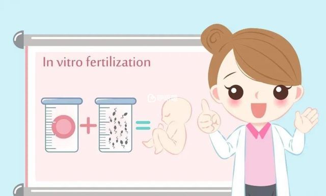 第四代試管嬰兒流程圖