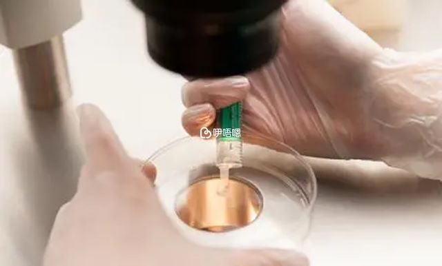 梅毒抗體治療
