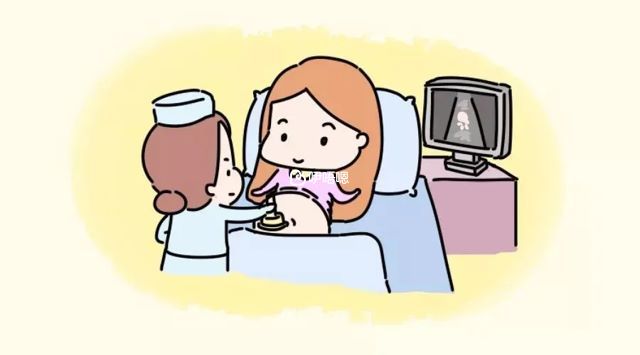 四維彩超看男女的方式