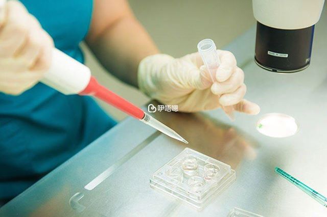 什麼條件可以移植鮮胚