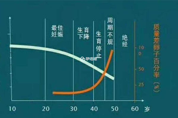 黃體期方案適合人群