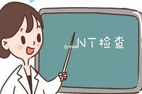 nt檢查能有效排除胎兒的先天性疾病