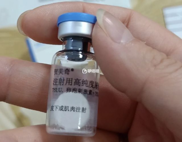 注射用高純度尿促性素