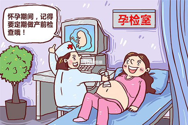 產前必做的專案-nt檢查