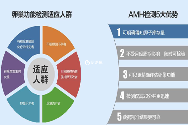 黃體期方案適合人群