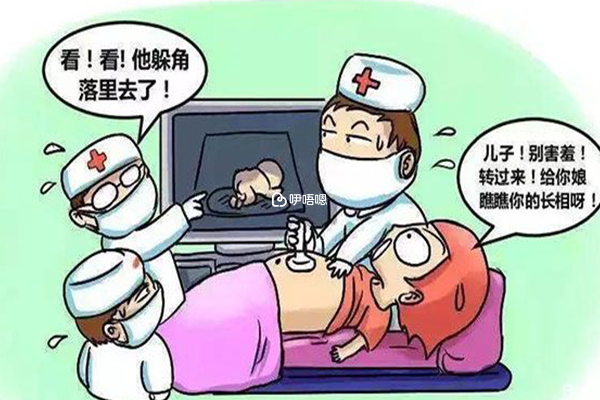 nt檢查需要胎兒的位置正確