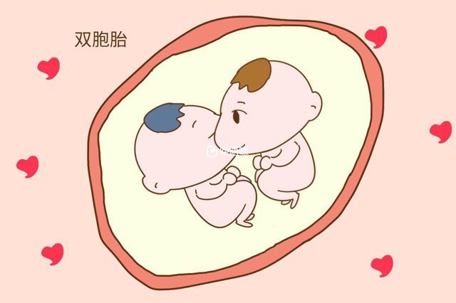 怎麼生雙胞胎