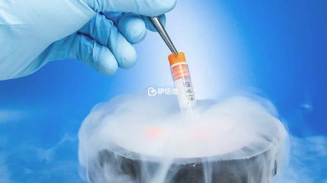 解凍的難度卻是比凍卵要高許多