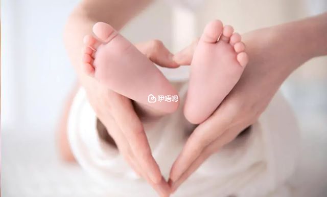 寶寶6個月內補充dha是比較好的