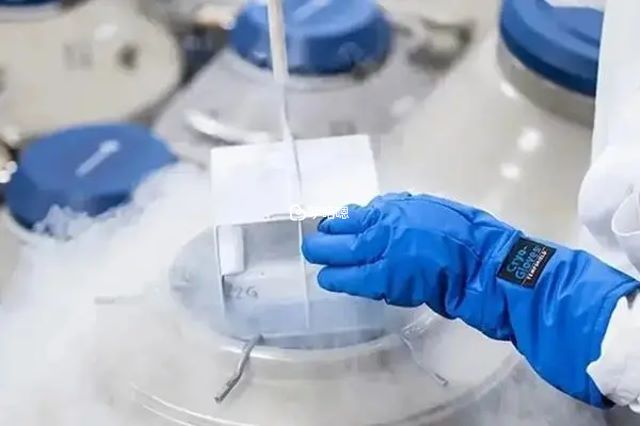 冷凍卵子過程是什麼樣的