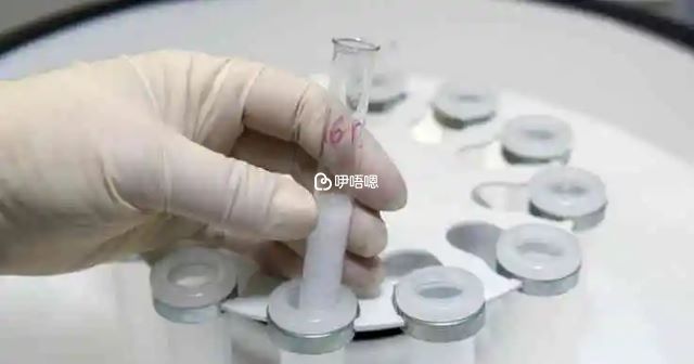什麼是冷凍卵子